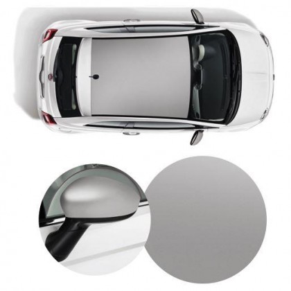 500 Wrapped Side Mirror Covers & Roof Graphics/Decal - Matt Silver